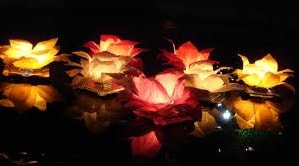 y�zen dilek fener